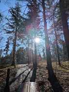 Inserat Netter Mann sucht eine bäuerin