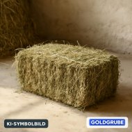 Inserat Heu Kleinballen