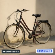 Inserat Damenfahrrad Hercules