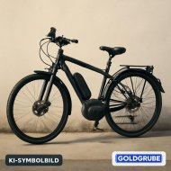 Inserat Elektro Fahrrad Hercules