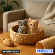Inserat Suche 2 Katzenbabys! 