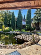 Inserat Teichbau  Baggerungen 