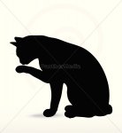 Inserat Katzensitting, Kleintierbetreuung 