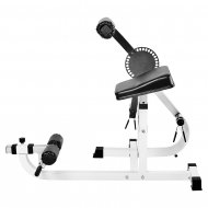 Inserat SOMMERAKTION! Bauch - und Rückentreiner
