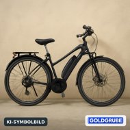 Inserat E-Bike Deutsche Marke Schirak