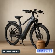 Inserat E-Bike wegen Todesfall