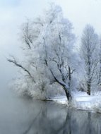 Inserat Suche Nette Sie