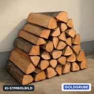 Inserat Brennholz weich 1m Scheiter