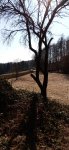 Inserat Urlaub am Bauernhof im Camping
