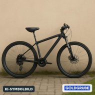 Inserat Herren Mountanbike neuwertig