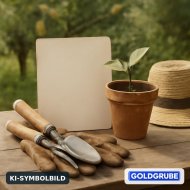Inserat Älteres Paar sucht Garten in