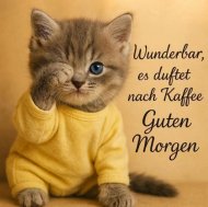 Inserat Suche dich eine nette mollige Sie