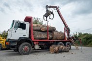 Inserat Drechslerei -Holzfällerei - Tischlerei