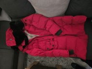 Inserat Wintermantel von Wellenstyn
