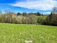 Inserat SOMMERAKTION - RIES: Leistbares, sonniges Grundstück am Rande von Graz!