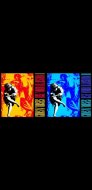 Inserat GunsNroses-UseYourIllusionsI&II-35th Aar