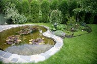 Inserat Teichbau Herzform mit Teichbrücke