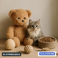 Inserat Katzenbby gesucht als Spielgefährten 