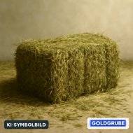Inserat Heu in kleinballen
