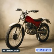 Inserat Verkaufe Fantic Trial Moped