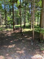 Inserat Er 52 sucht stelle als Handwerker oder