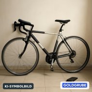 Inserat KTM Fahrrad 28 Zoll