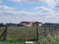 Inserat Großes Land- und Forstwirtschaftsgrundstück mit Gartenbau in 9771 Balogunyom, Ungarn!