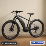 Inserat E Bike