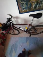 Inserat V: Mountainbike Peakworld