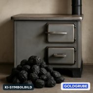 Inserat Steinkohle