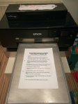 Inserat Epson Printer P600 Dtg Drucker 
