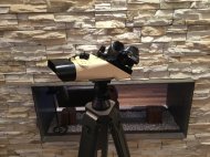 Inserat CARL ZEISS JENA blc 12x60