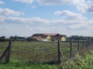 Inserat Land-/Forstwirt. in Balogunyom zu kaufen - 1663/1813