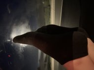 Inserat Getragene Unterwäsche und Socken