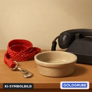 Inserat Suche neues Familienmitglied!