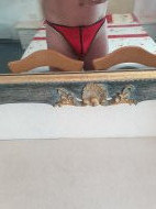 Inserat Großer Schw** sucht Reiterin W NÖ BGLD 