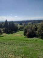 Inserat Arschficker sucht geile ehefotze