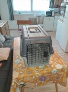 Inserat Katzenzubehör