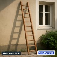 Inserat Lange Holzleiter