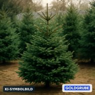 Inserat Christbäume