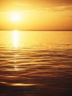 Inserat Suche Nette Frau