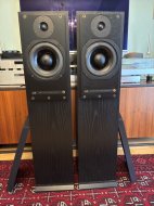 Inserat Atc SCM20ASLT Aktiver Standlautsprecher 