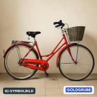 Inserat Pegasus 3Gang Fahrrad