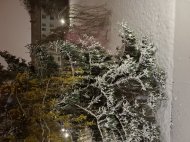 Inserat Hausfrau die Taschengeld braucht