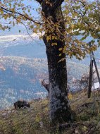 Inserat Er 52 sucht eine nette frau für eine