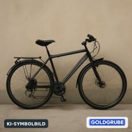 Inserat Herrenfahrrad Rock Machine