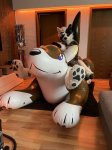 Inserat Großer aufblasbarer Wolf - Collector
